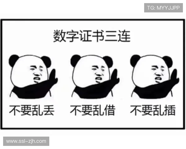 教练场边指挥表情包，社交媒体热传